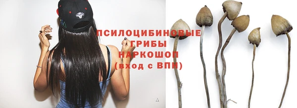 винт Беломорск